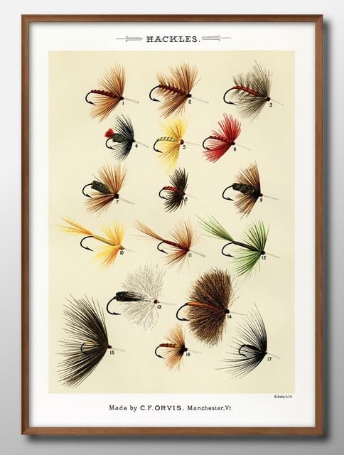 毛鉤　額装　フライフィッシング　アンティーク Amazon.co.jp: イギリス購入 フライフィッシング フライ 額入り